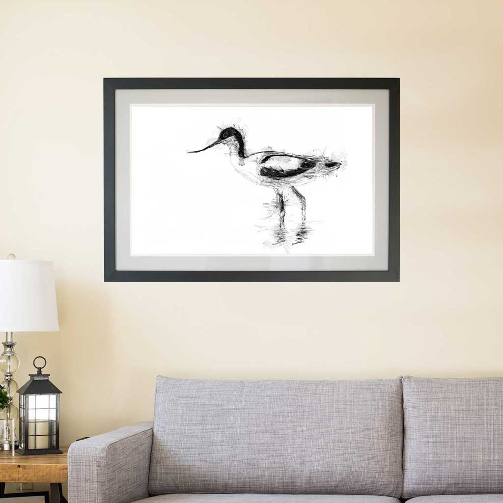 Avocet wading