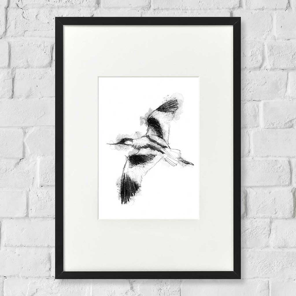 Avocet flight