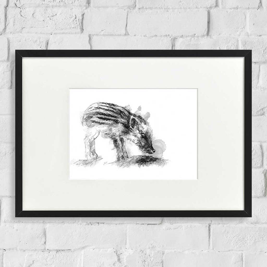 Little wild boar