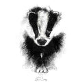 British badger