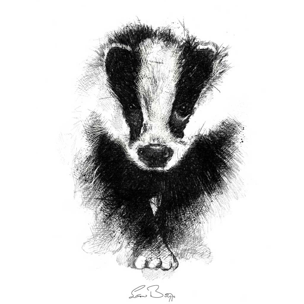 British badger