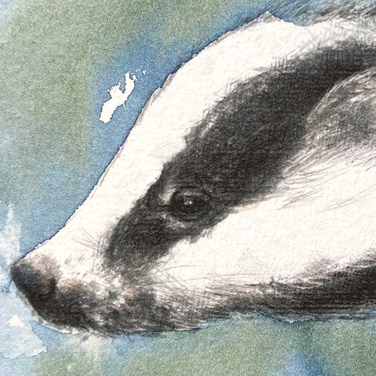Badger original mini sketch