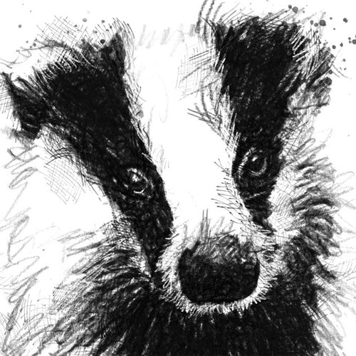 British badger