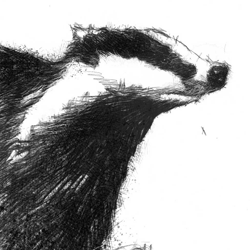 Badger