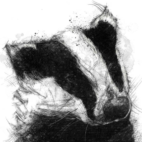 Badger