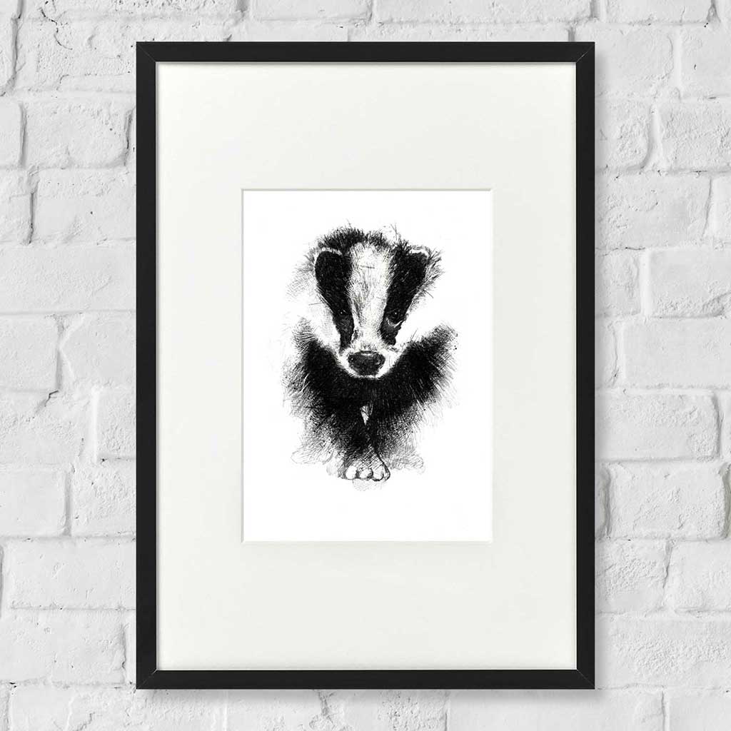 British badger
