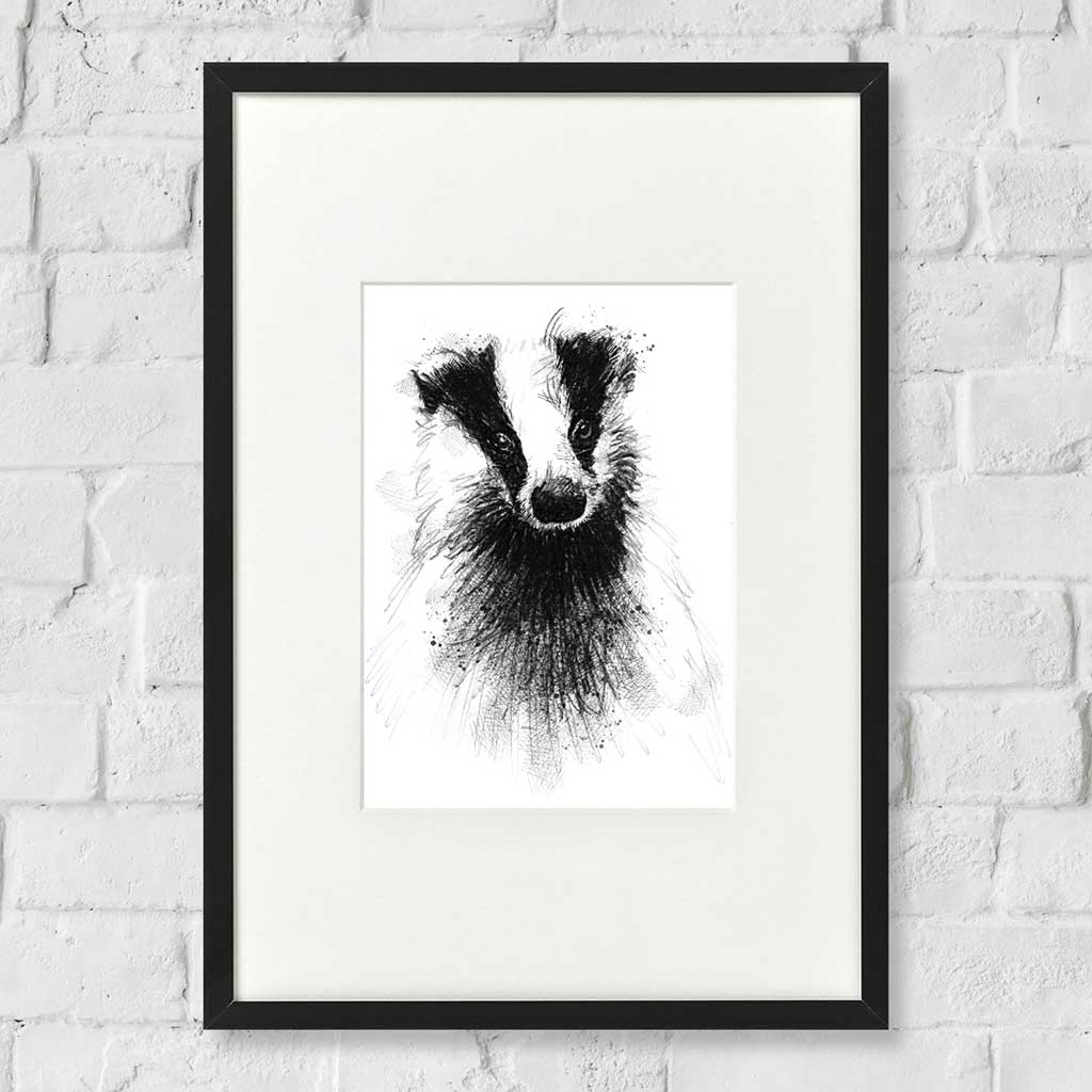 British badger
