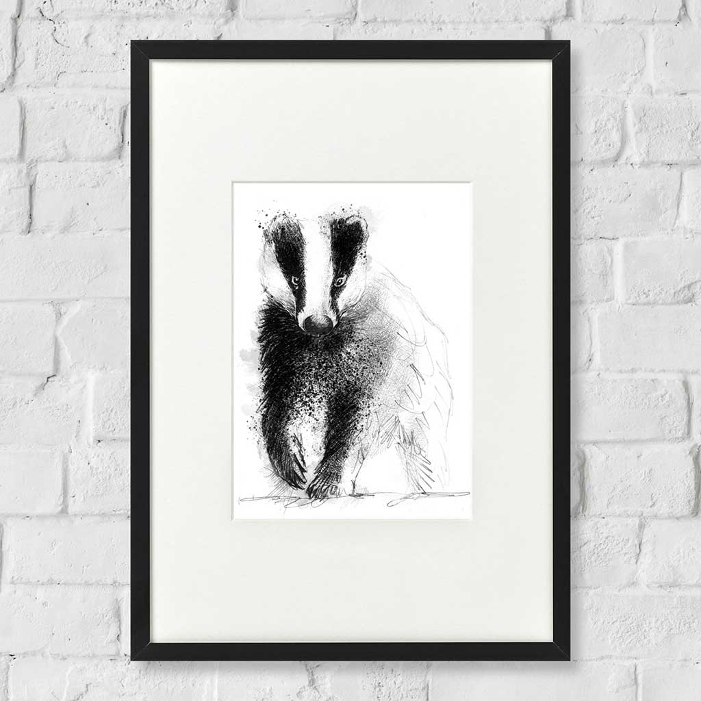 Badger stroll