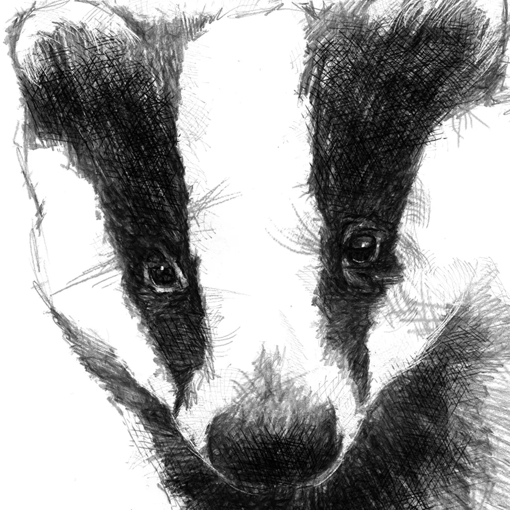 Badger