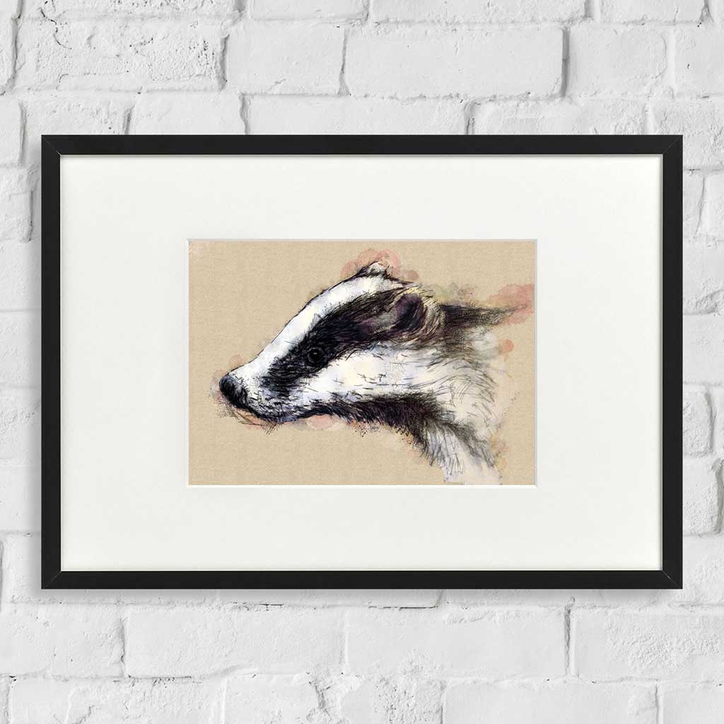 European badger