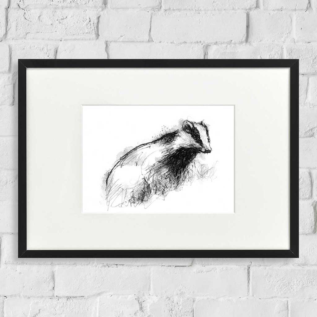 European badger