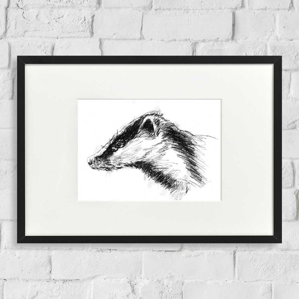 British badger
