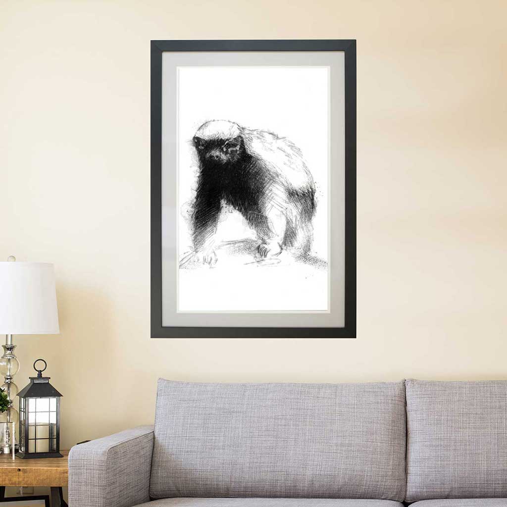 Honey badger