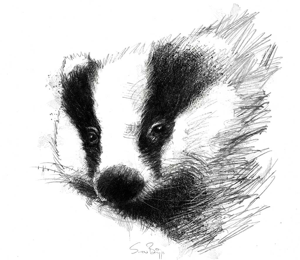 Badger