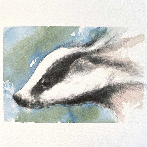 Badger original mini sketch
