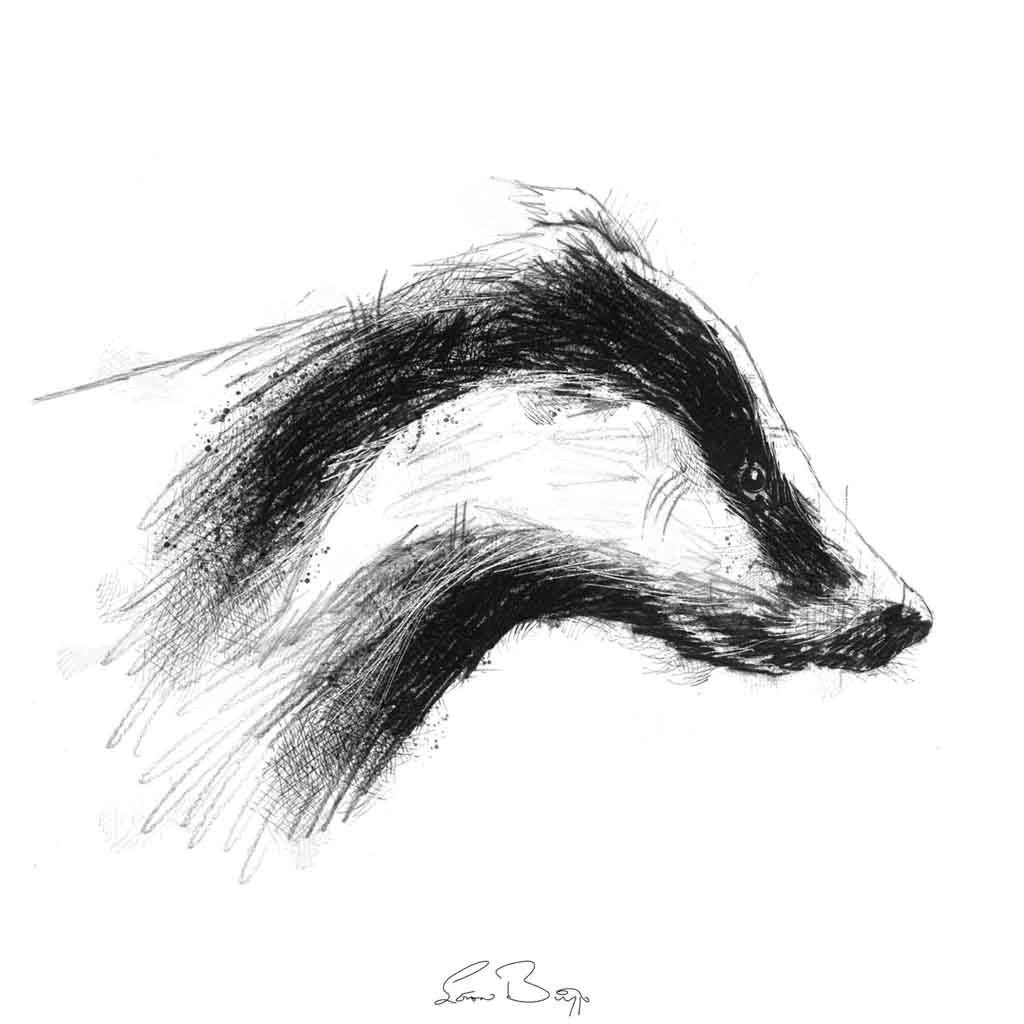 Badger head