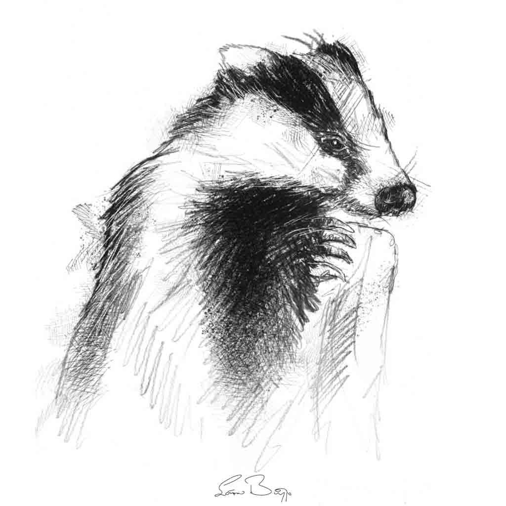 Badger upright
