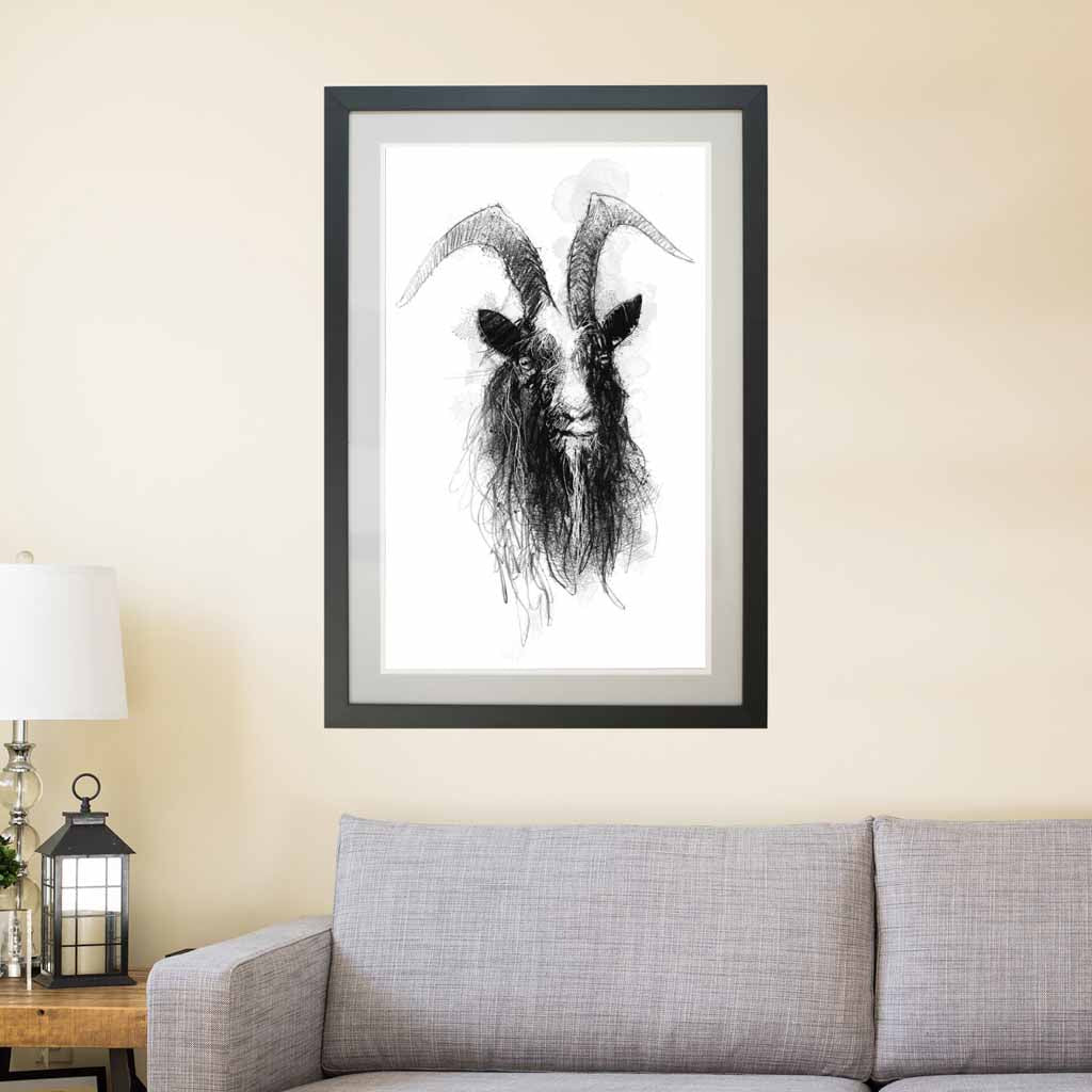 Baggot goat sketch