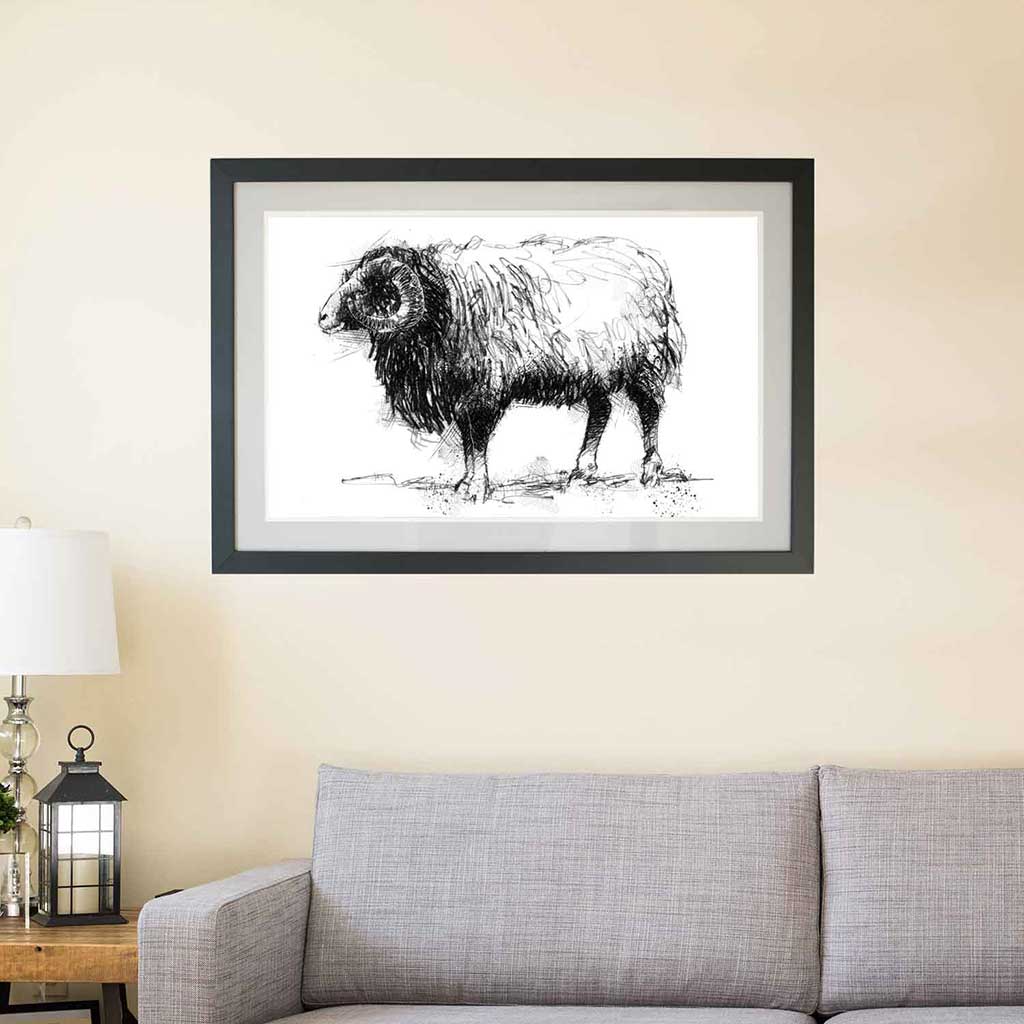 Balwen sheep