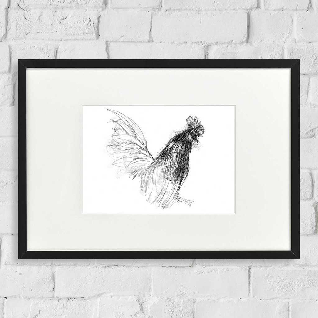 Bantom cock