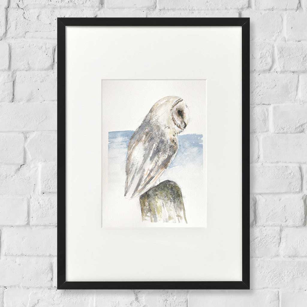 Barn owl sketch