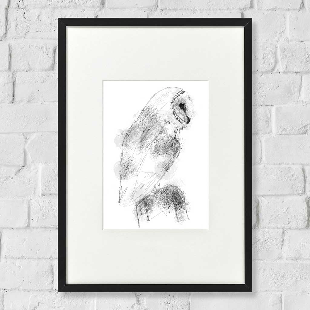 Barn owl