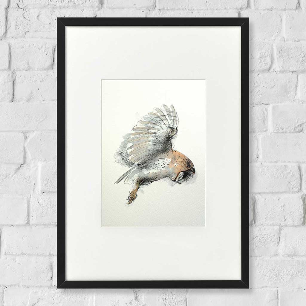 Barn owl watercolour sketch