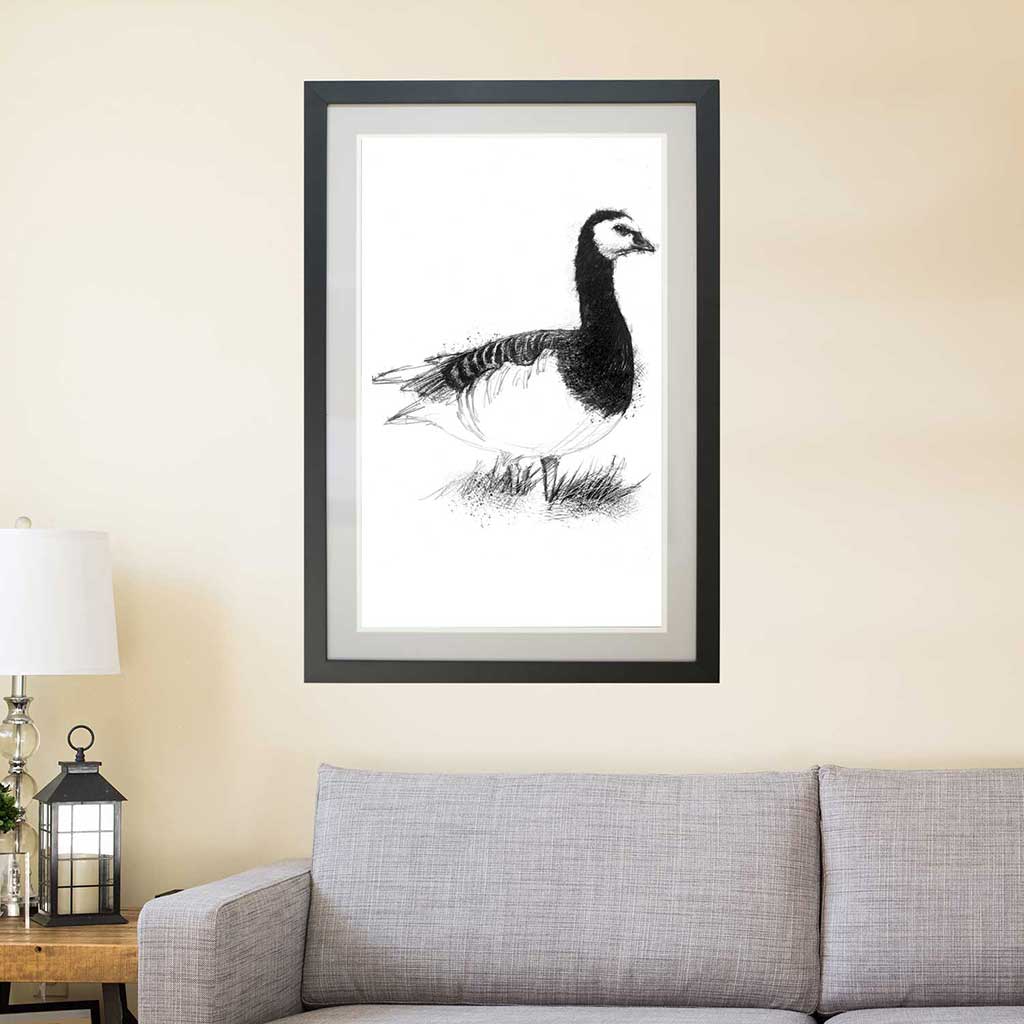 Barnacle goose