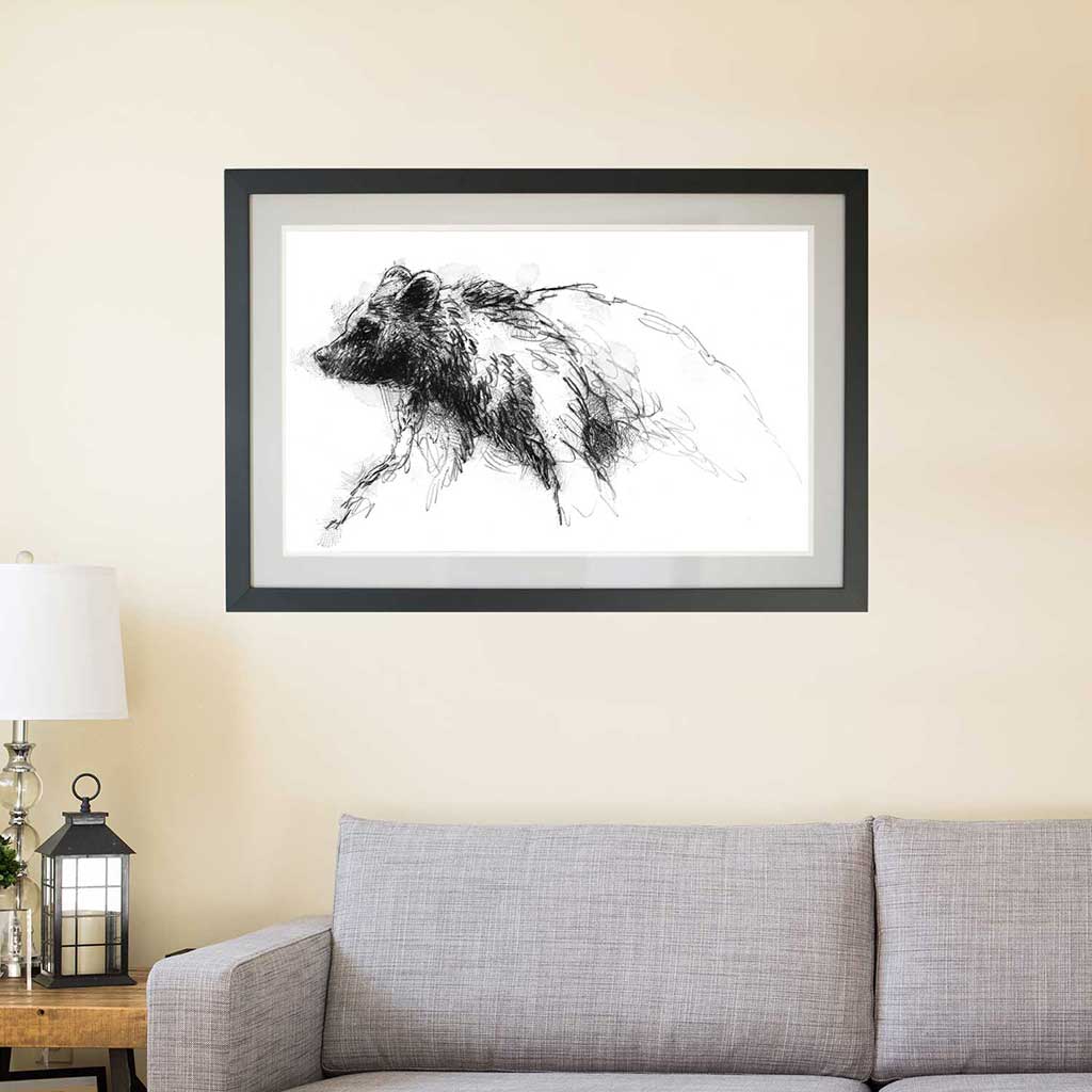 Brown bear