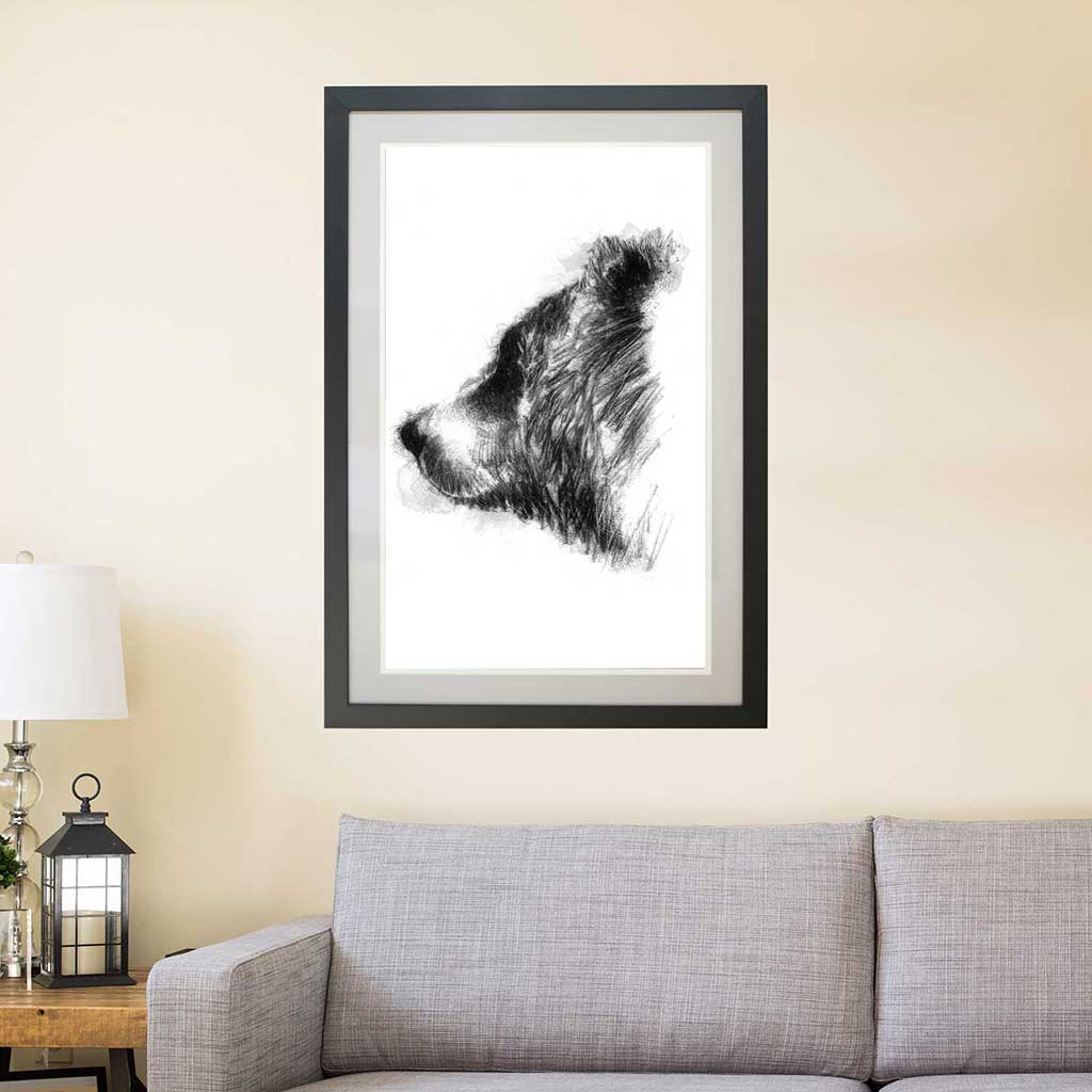 Brown bear
