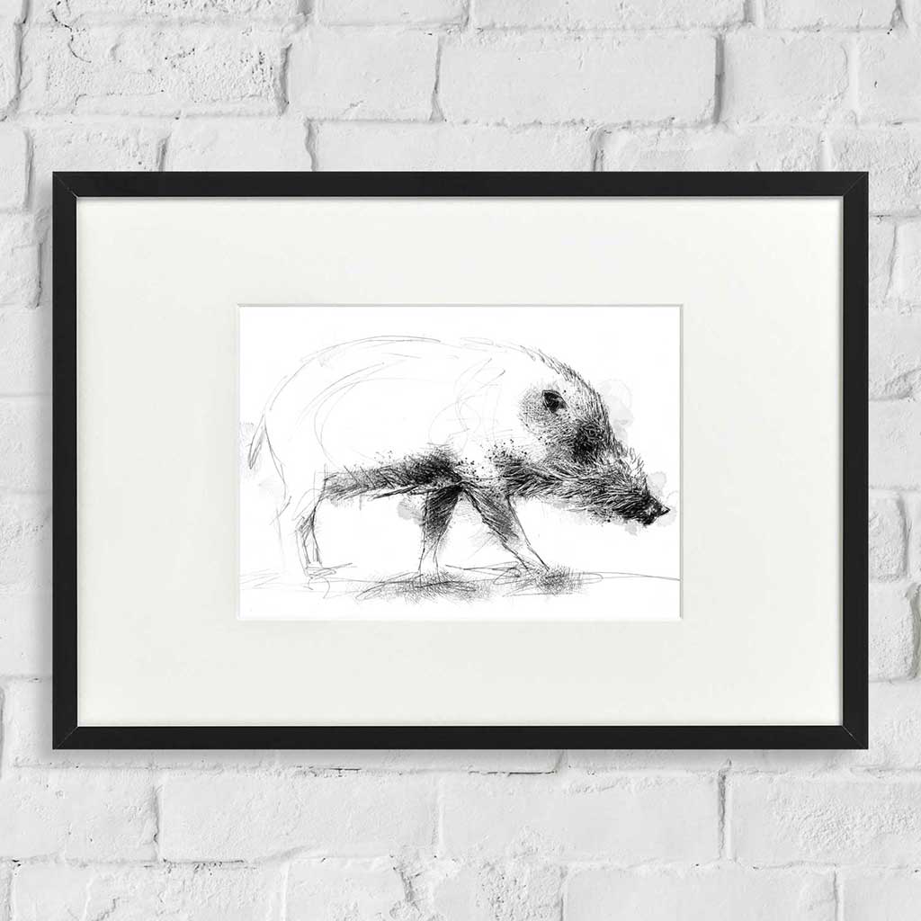 Bearded pig