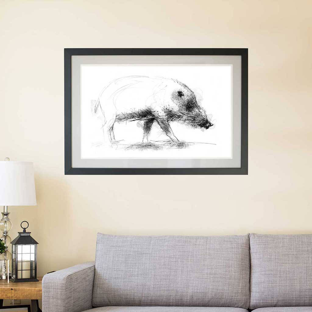 Bearded pig