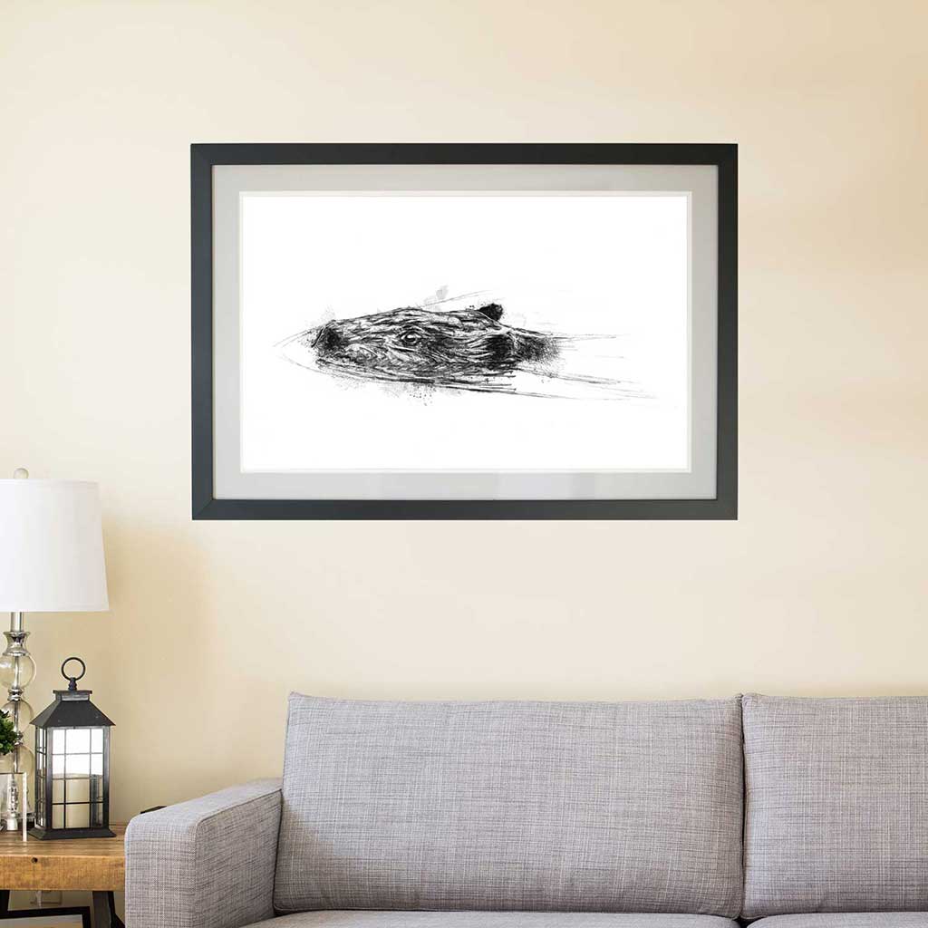 Beaver swim