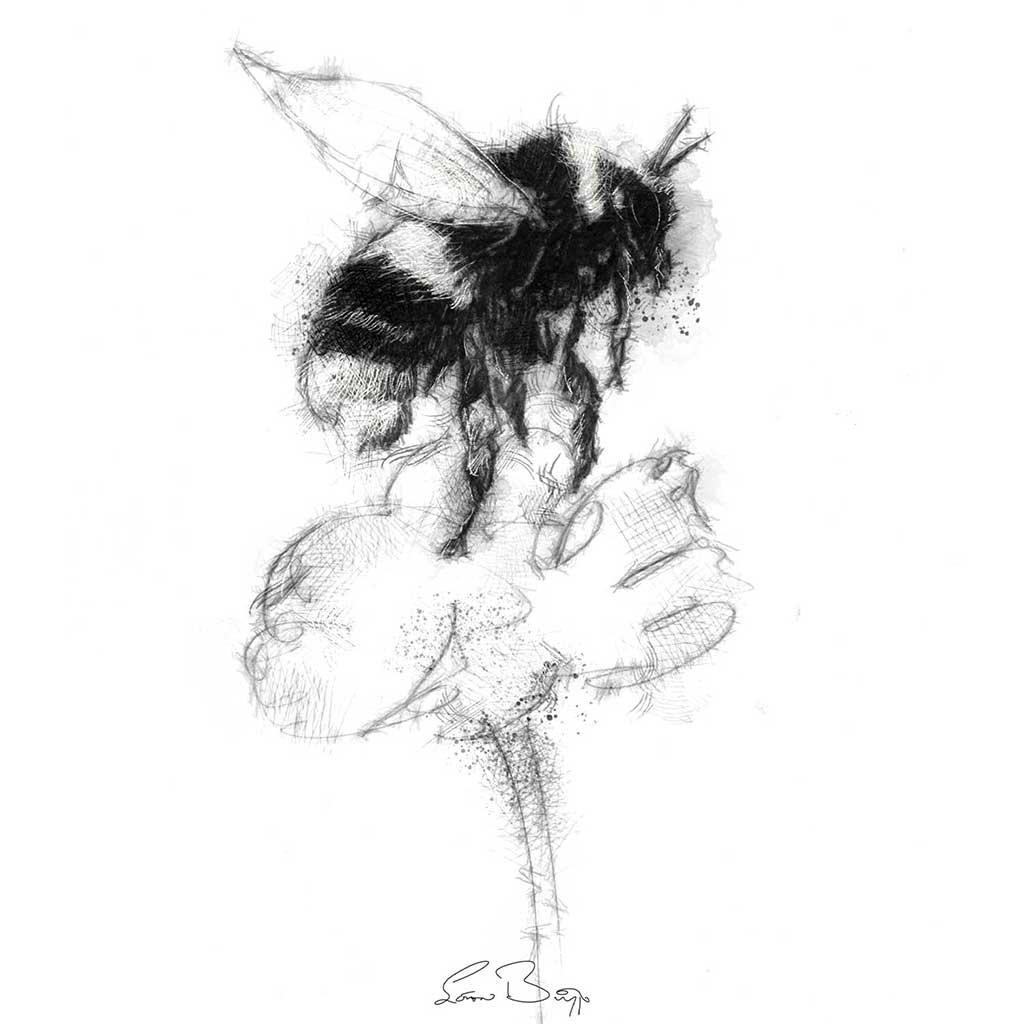 Bumble bee