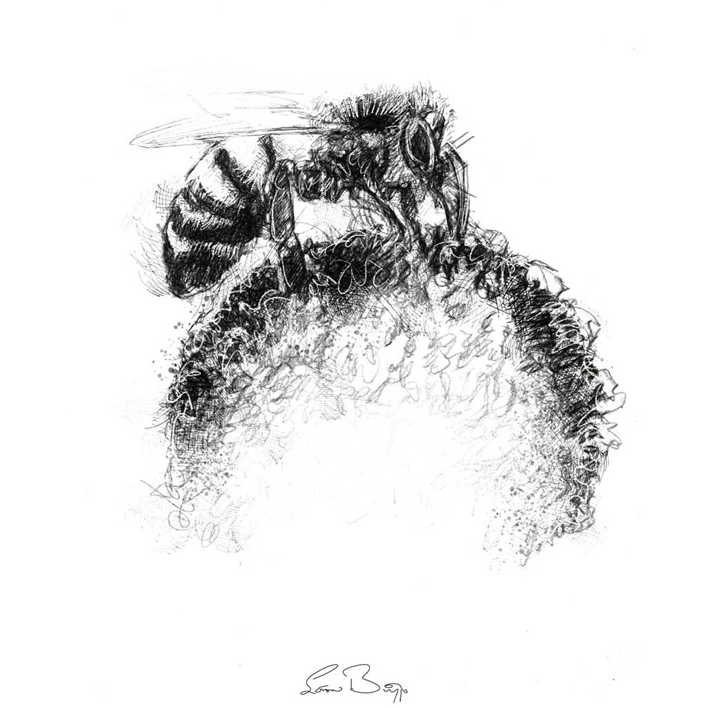 Honey bee