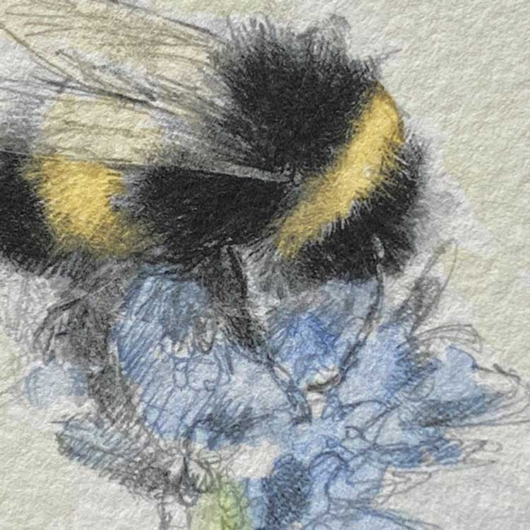 Bumble bee mini sketch