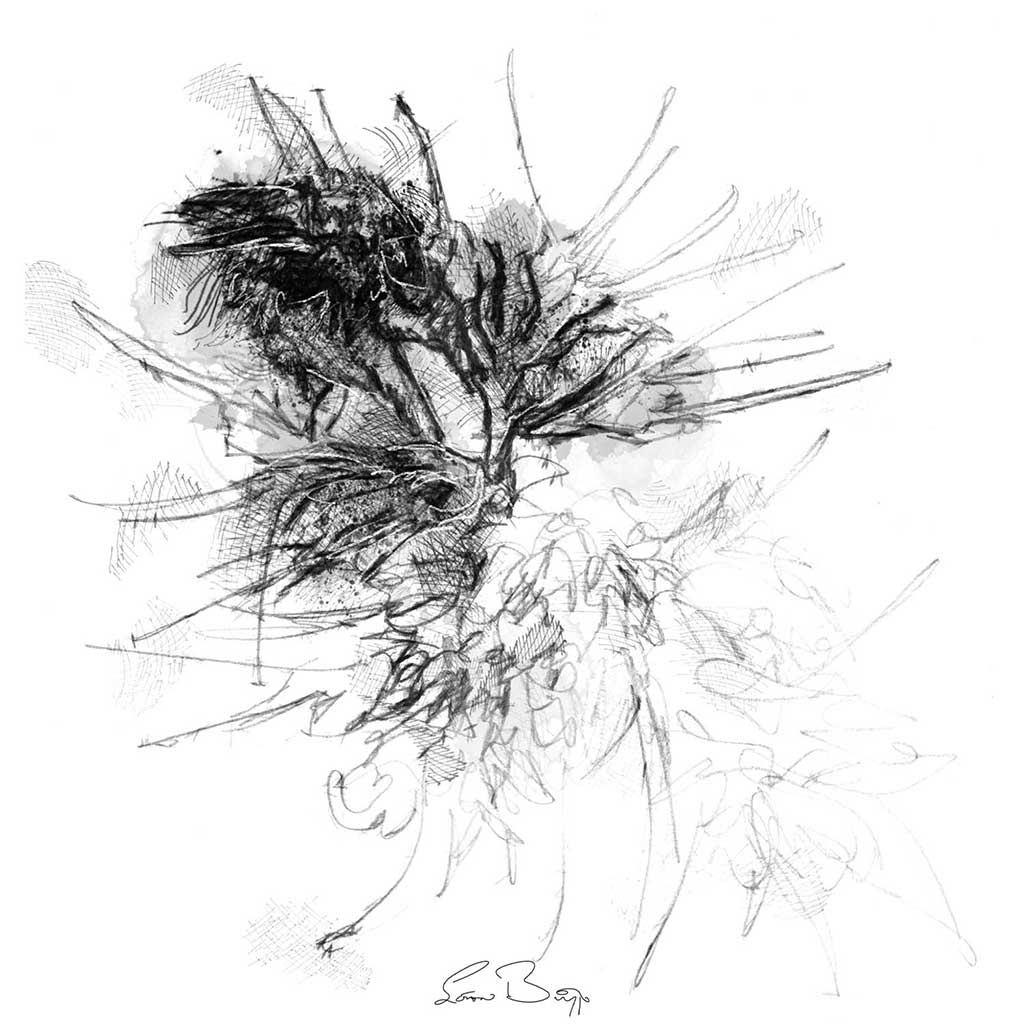 Bee