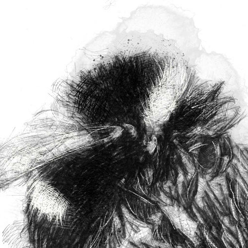 Bumble bee