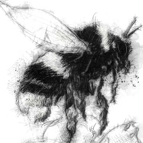 Bumble bee