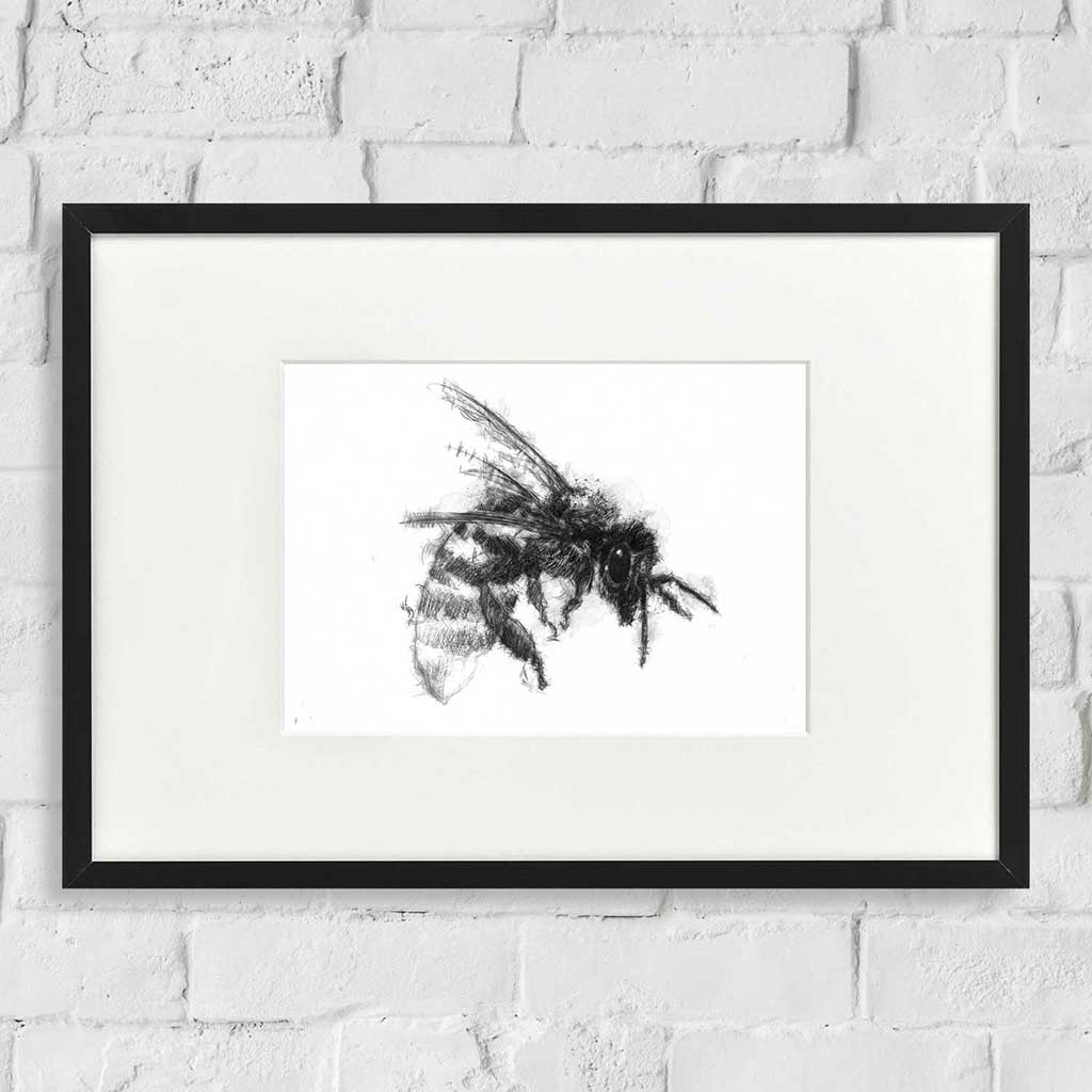 Honey bee