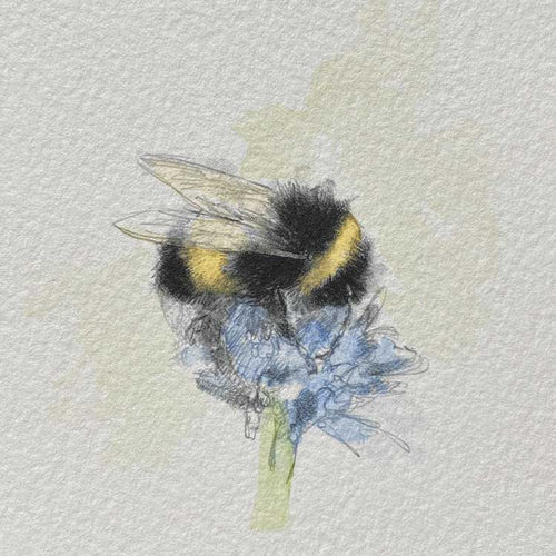 Bumble bee mini sketch