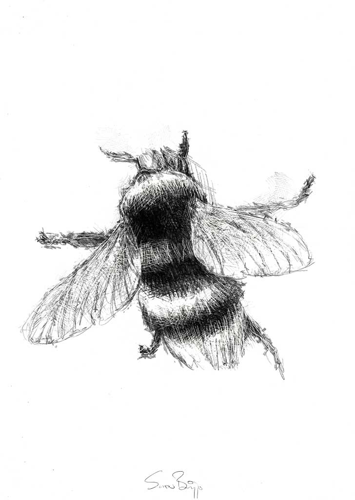 Bumble bee