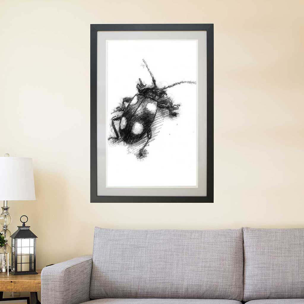 Spotted beetle