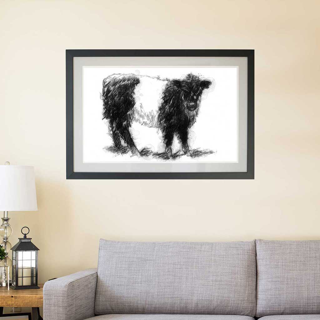 Belted Galloway calf