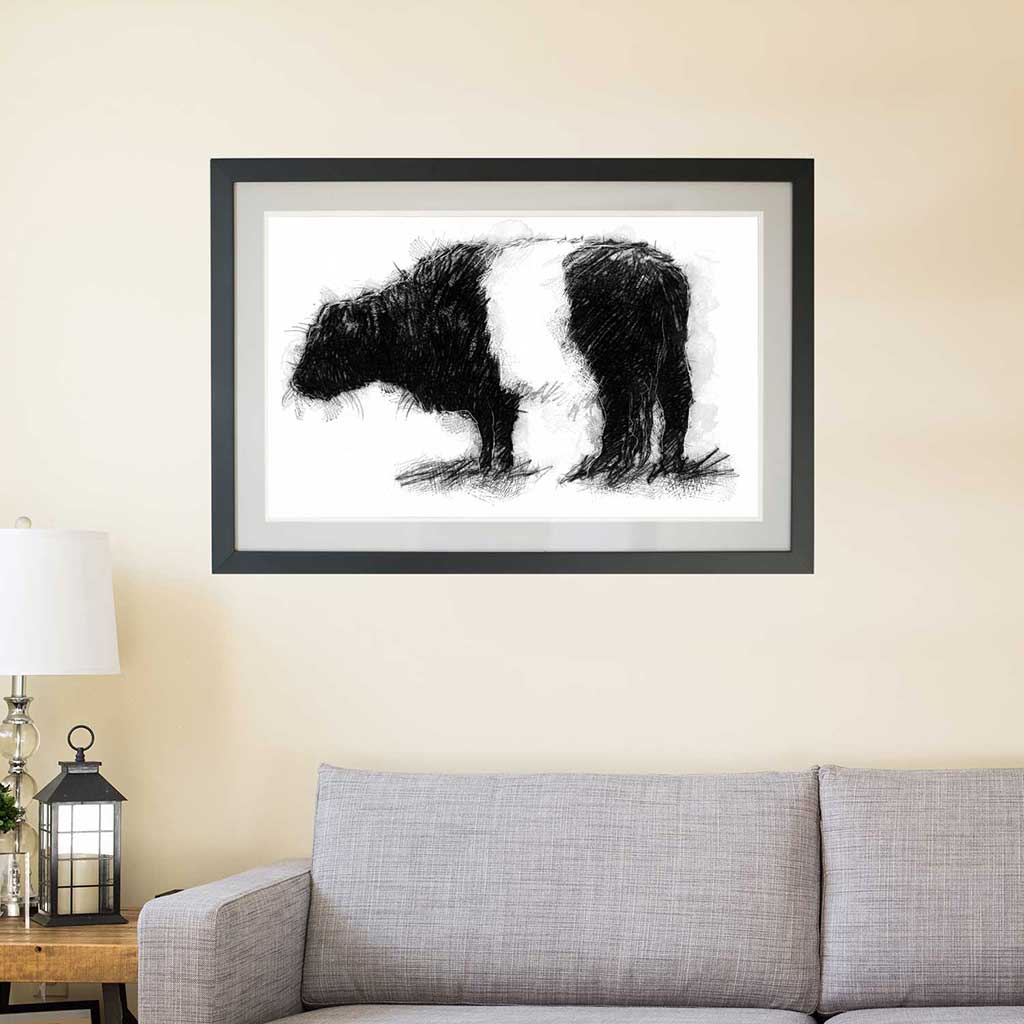 Belted Galloway cow