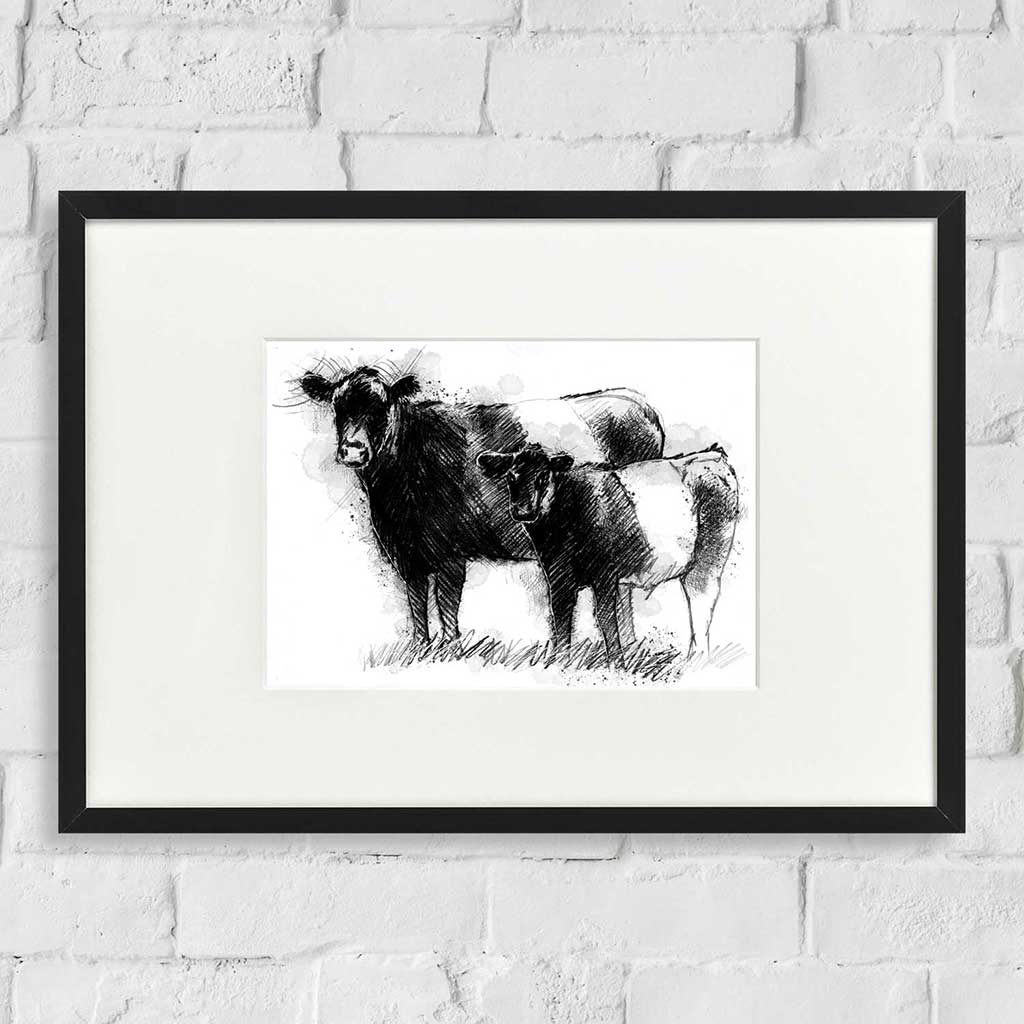 Belted galloway cow and calf
