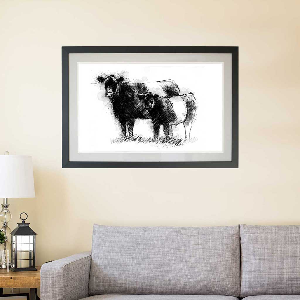 Belted galloway cow and calf