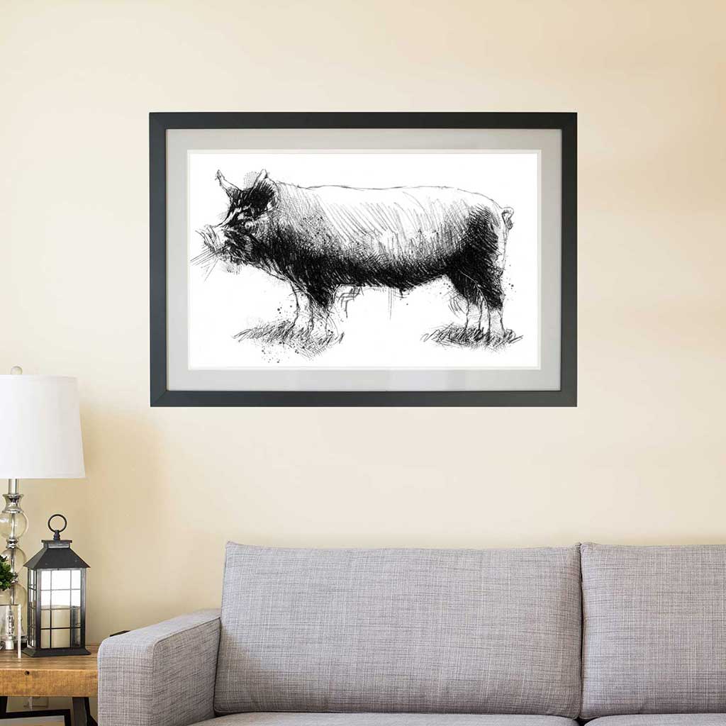Berkshire rare pig