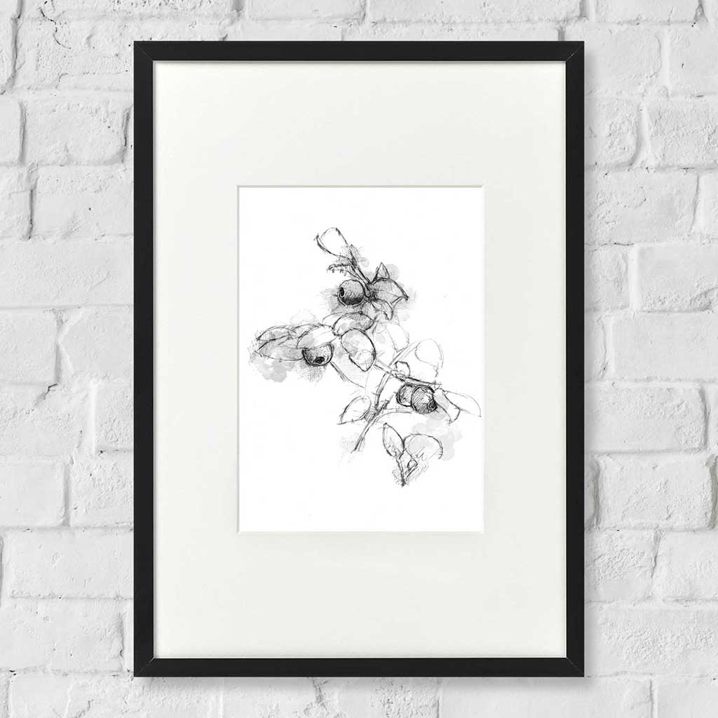 Wild bilberry
