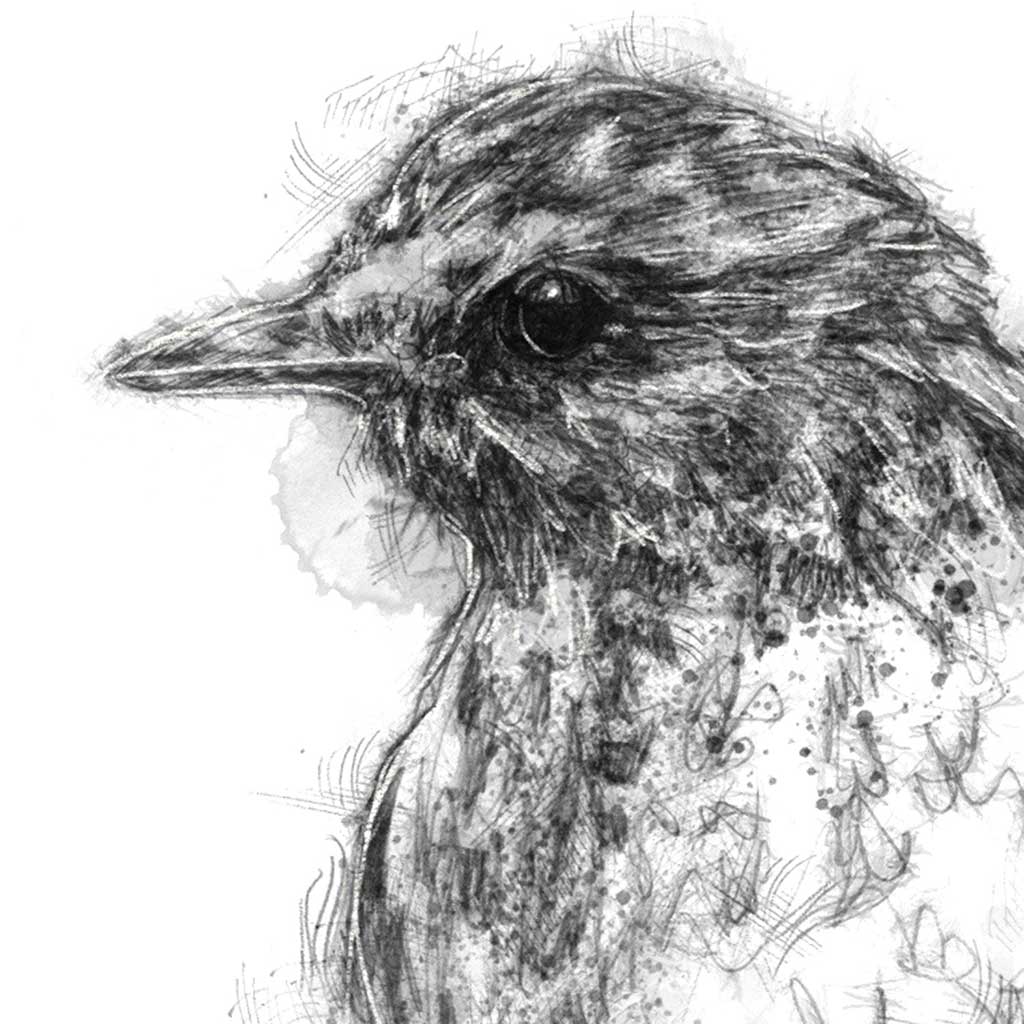 Young songbird